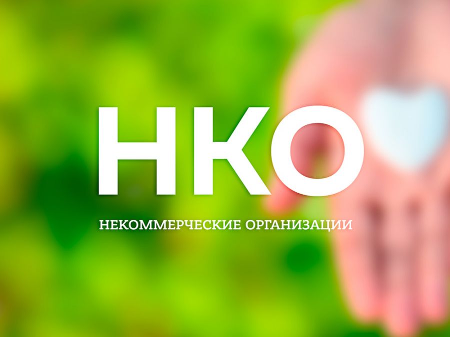 Порядок получения субсидий для социально ориентированных некоммерческих организаций (НКО)