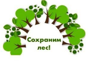 В Кабардино-Балкарии стартует акция «Сохраним лес»