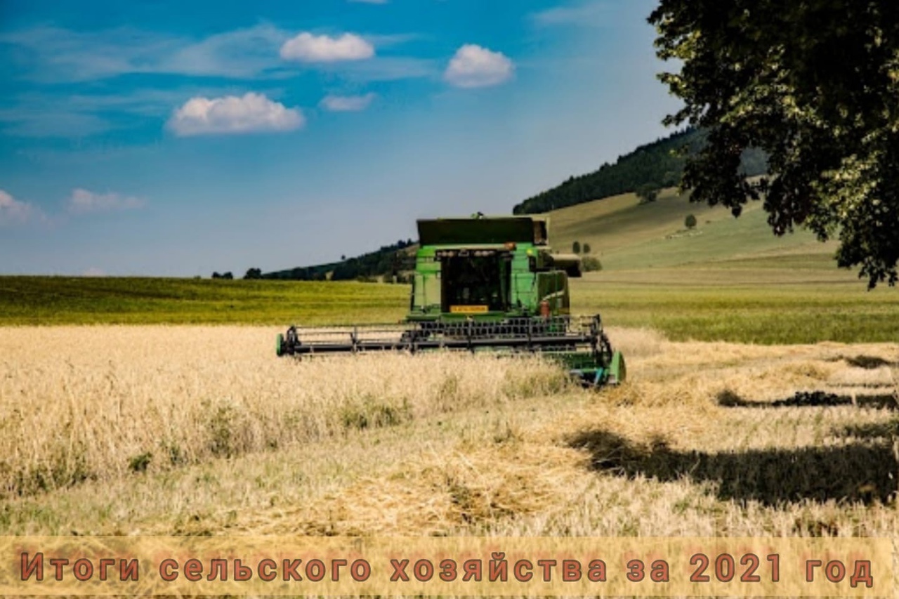 Итоги сельского хозяйства за 2021 год