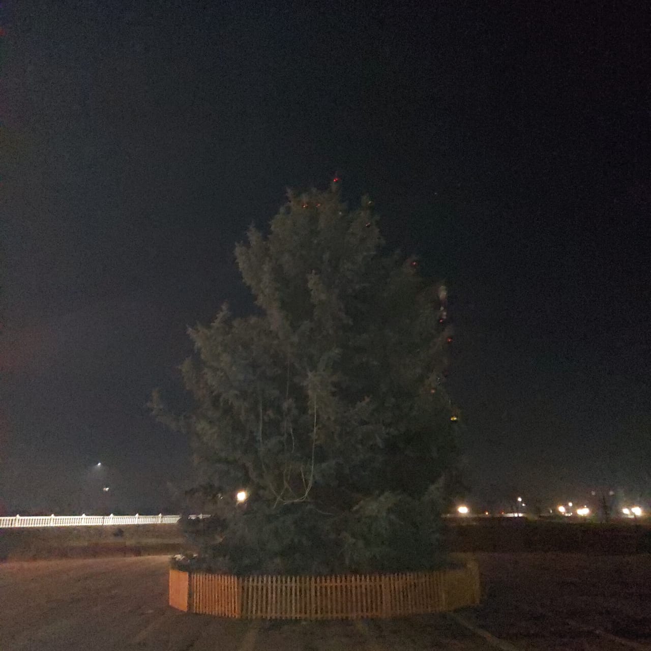 В Баксане установили самую большую новогоднюю елку