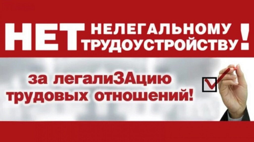 Плюсы и минусы легализации трудовых отношений