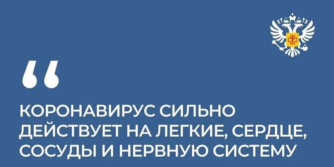 Коронавирус сильно действует на лёгкие, сердце, сосуды и нервную систему