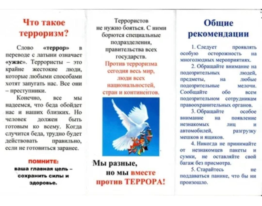 террор 2.jpg